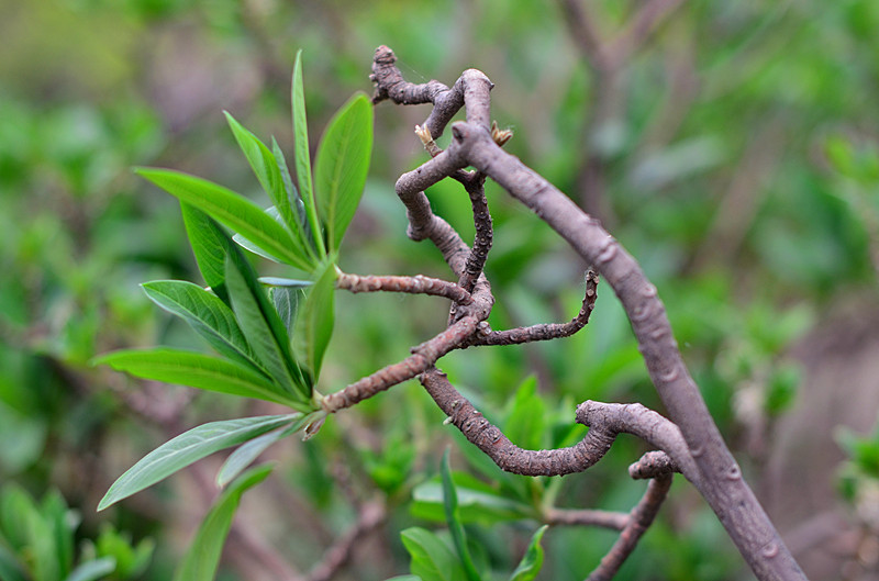 照片 104_副本.jpg