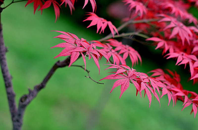 照片 113_副本.jpg