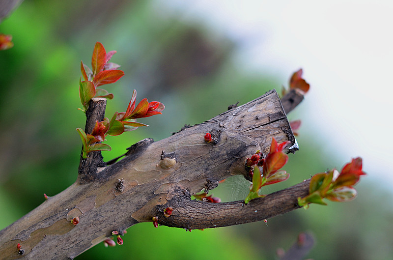 照片 138_副本.jpg