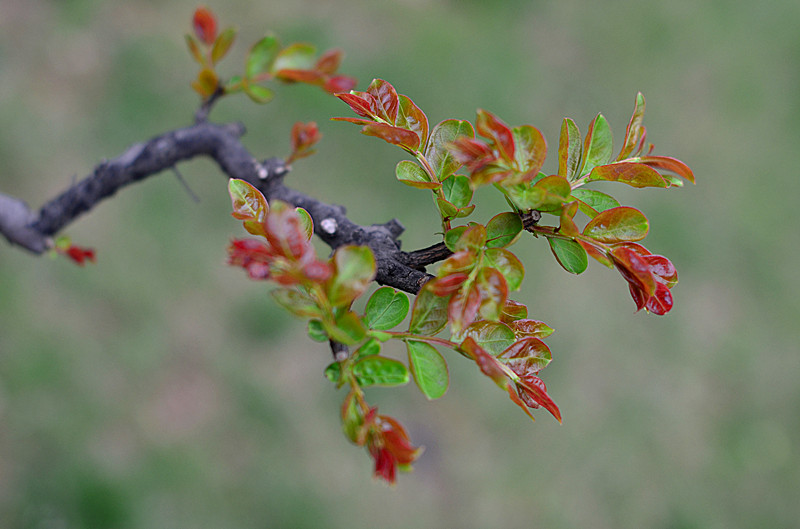 照片 151_副本.jpg