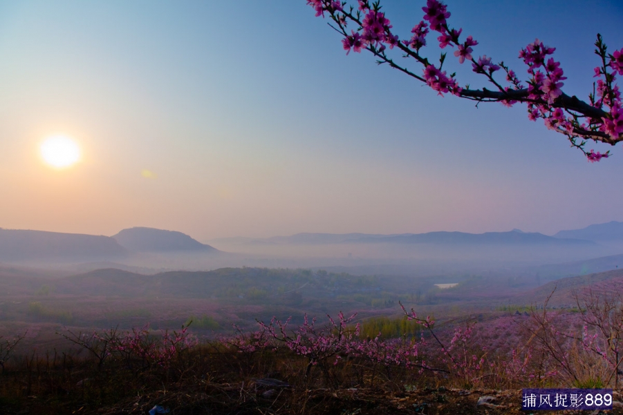 _MG_3829.jpg
