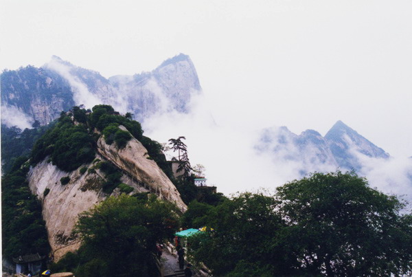 图八：