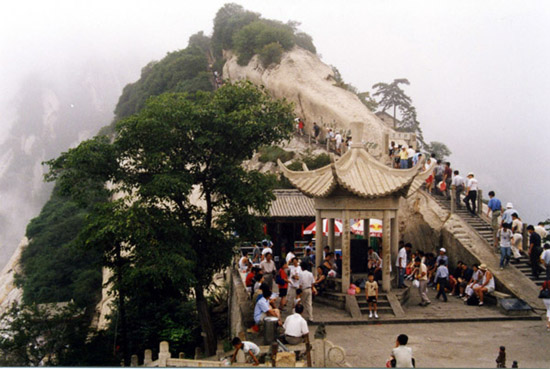 图二：