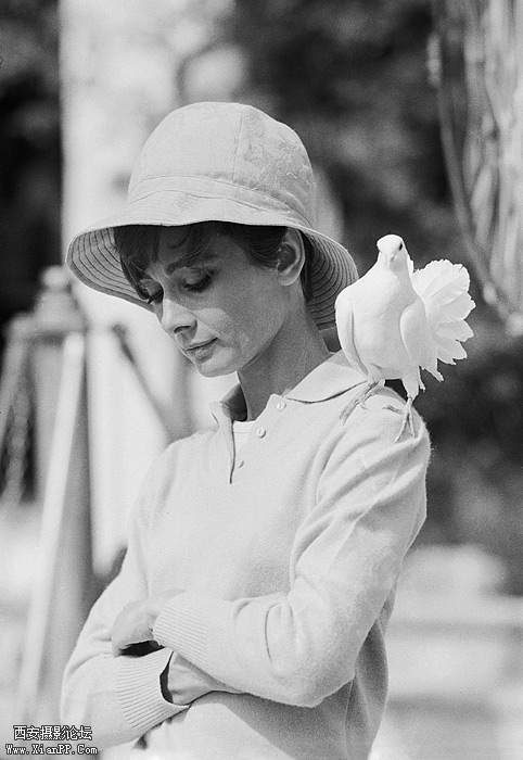 audrey-hepburn-by-terry-oneill.jpg