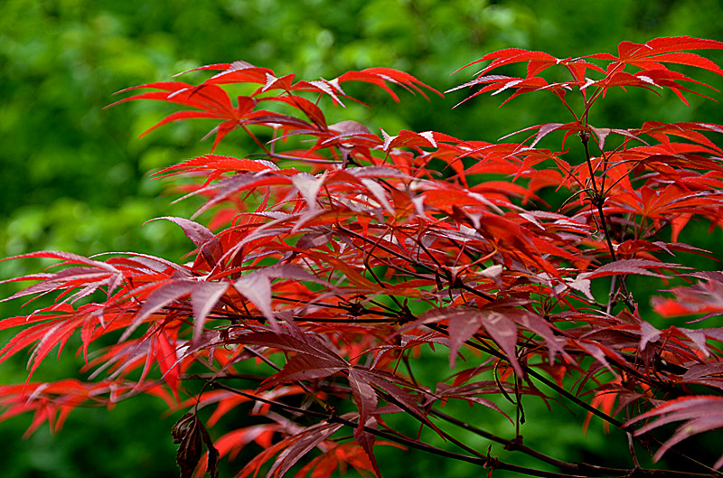 照片 008_副本.jpg