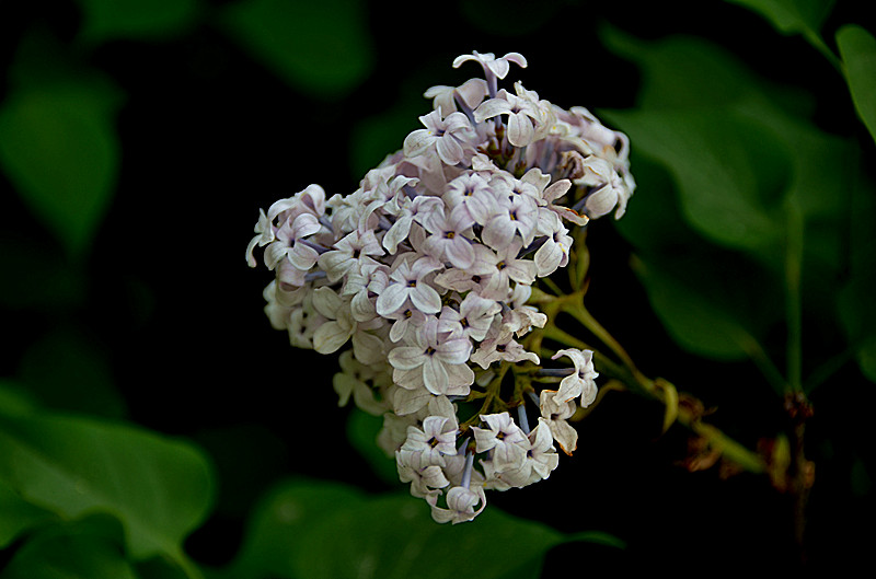 照片 021_副本.jpg