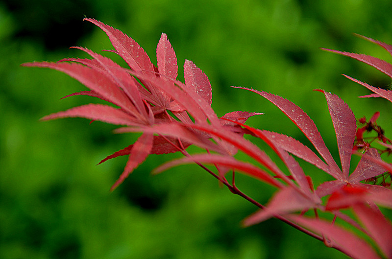 照片 023_副本.jpg