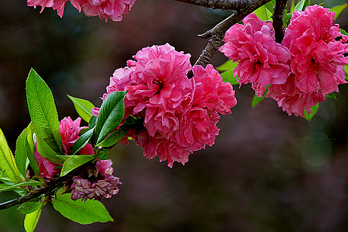 照片 001_副本.jpg