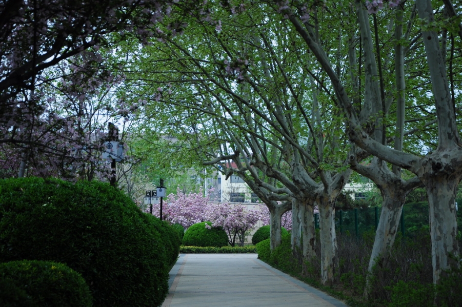 DSC_0076.jpg