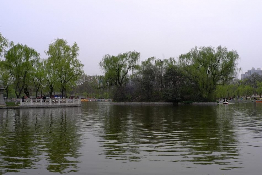 L1001518_调整大小.JPG