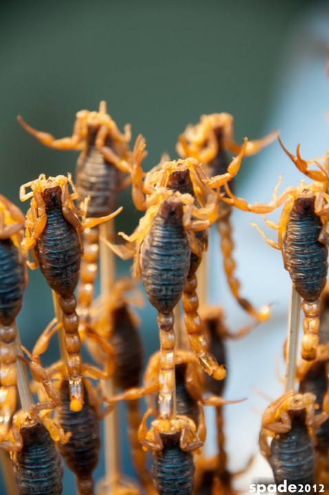 王府井的炸蝎子