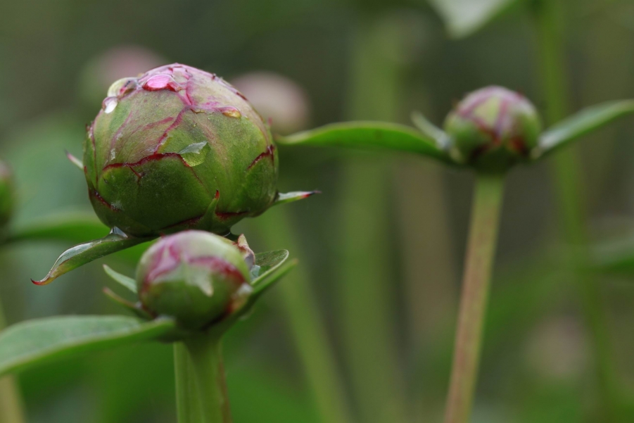 调整大小 IMG_7841.jpg