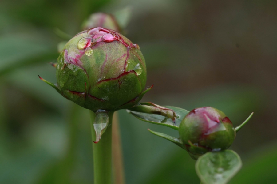 调整大小 IMG_7842.jpg