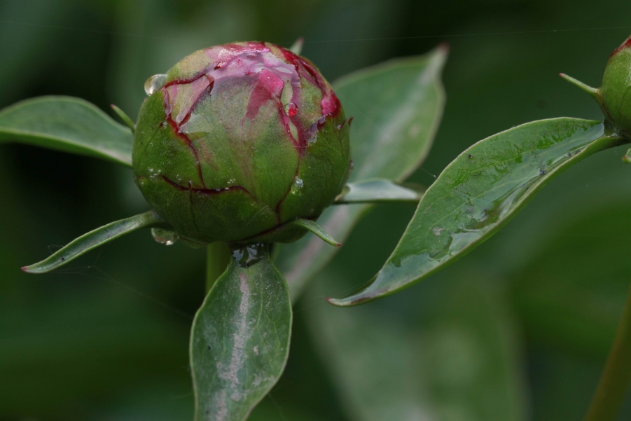 调整大小 IMG_7843.jpg