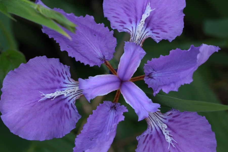 调整大小 IMG_7848.jpg