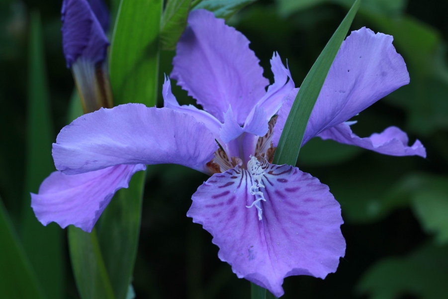 调整大小 IMG_7858.jpg