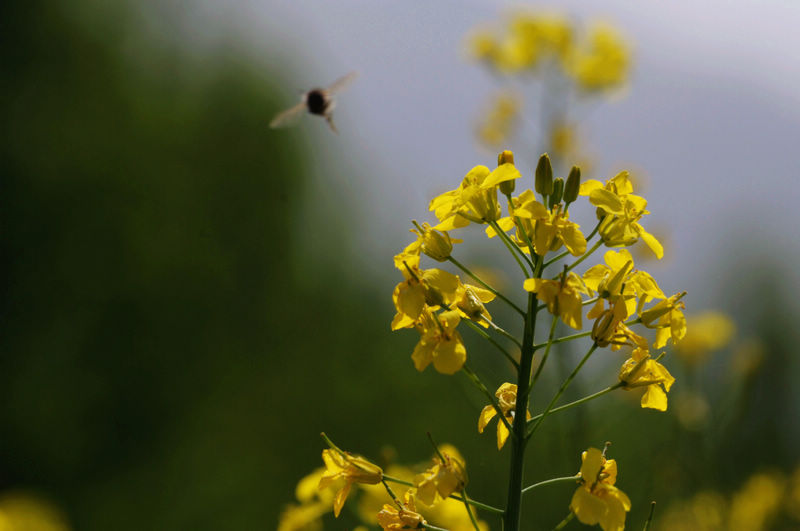 照片 208_副本21.jpg