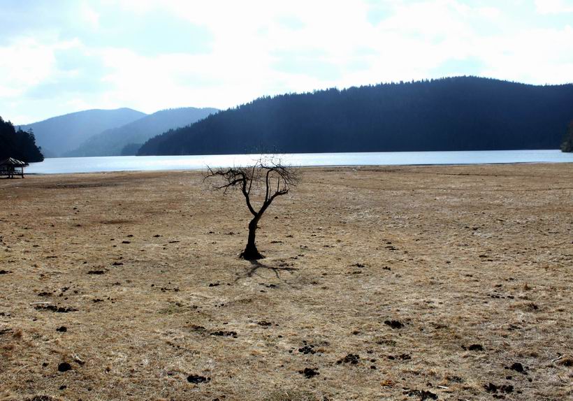 调整大小 重新曝光 IMG_7817.jpg