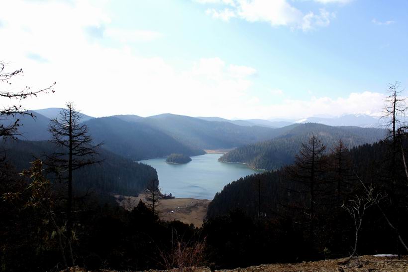 调整大小 重新曝光 IMG_7776.jpg