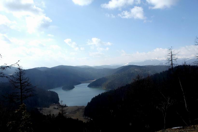 调整大小 重新曝光 IMG_7773.jpg