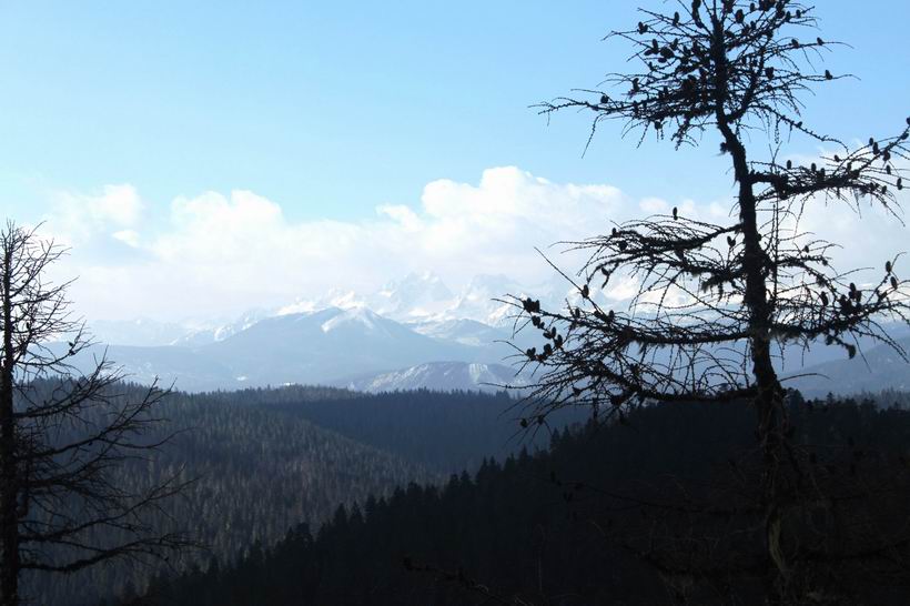 调整大小 重新曝光 IMG_7769.jpg