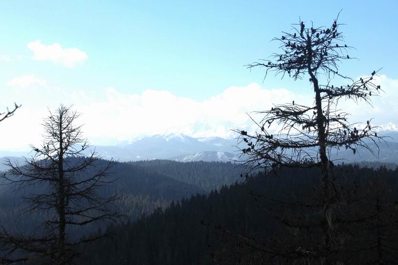 调整大小 重新曝光 IMG_7764.jpg