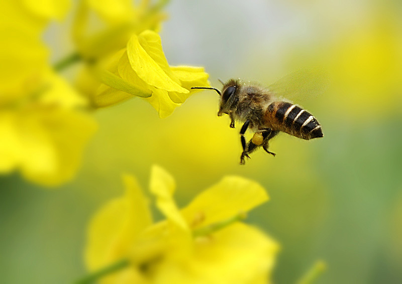 _DSC7325 复制副本.jpg