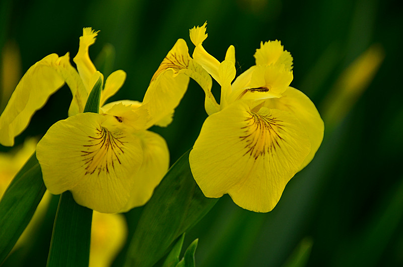 照片 037_副本.jpg