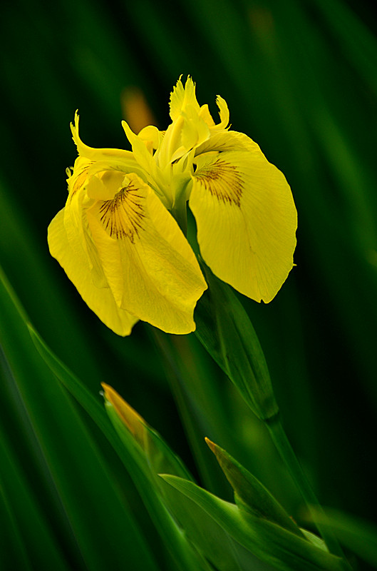 照片 040_副本.jpg