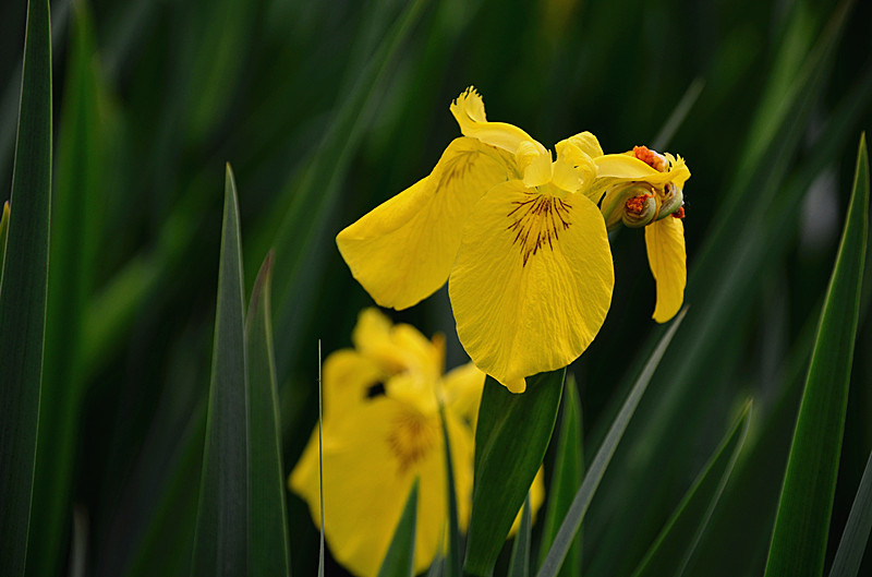 照片 046_副本.jpg