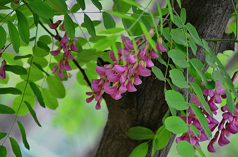 照片 075_副本.jpg