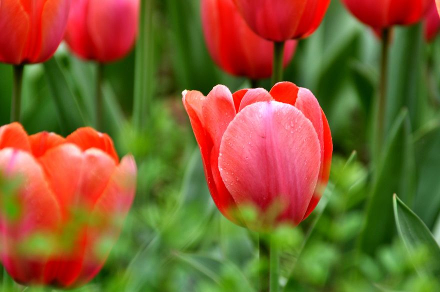 修饰片 o(353).jpg