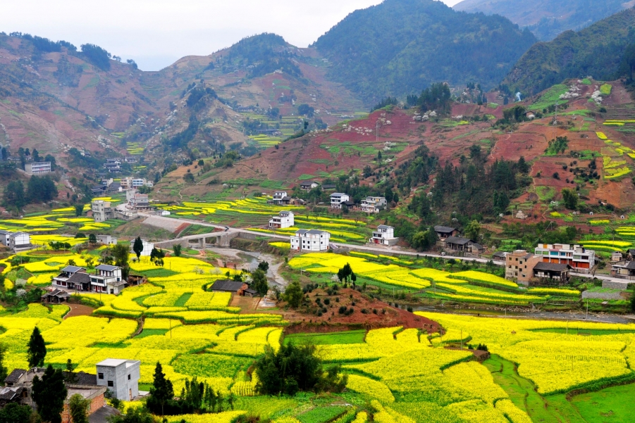 桐梓、雷山 (219).jpg