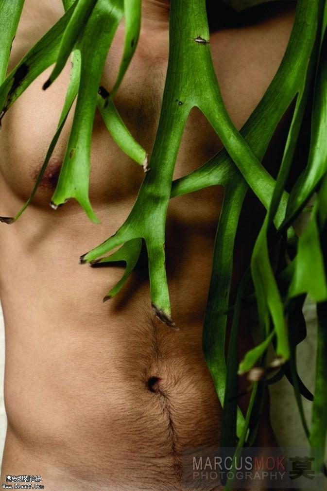 mb66-673x1010.jpg mb66-673x1010.jpg