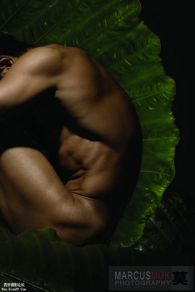 mb64-673x1009.jpg mb64-673x1009.jpg