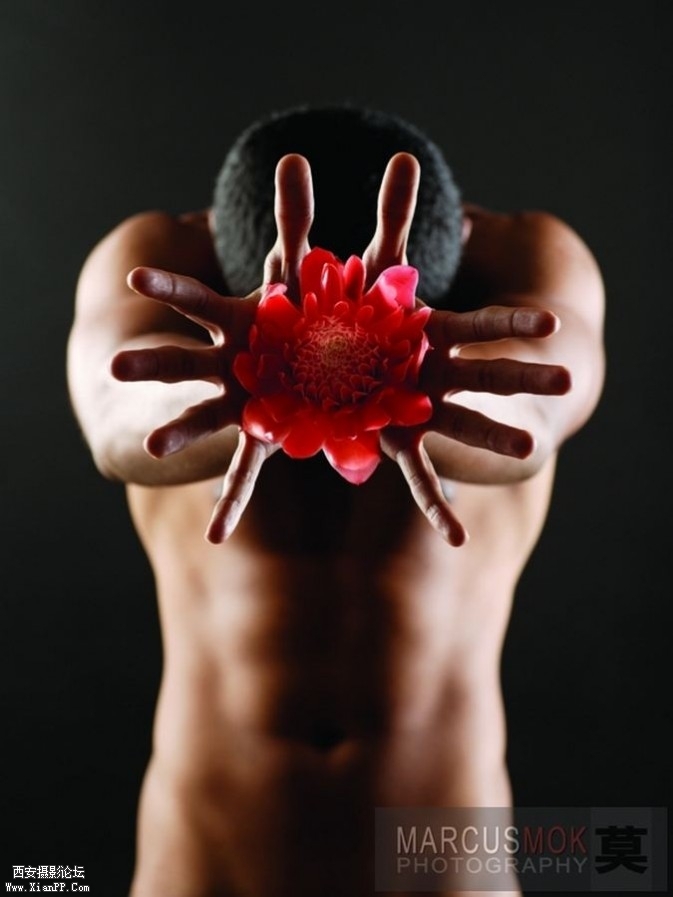 mb135-673x897.jpg mb135-673x897.jpg