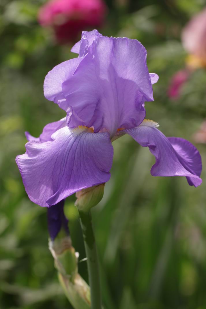 调整大小 旋转 IMG_4824.JPG