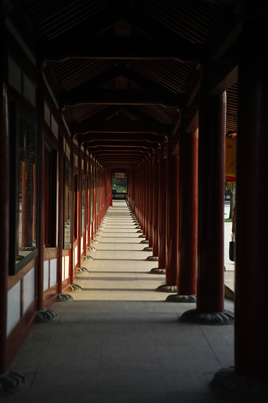 DPP_0011.JPG