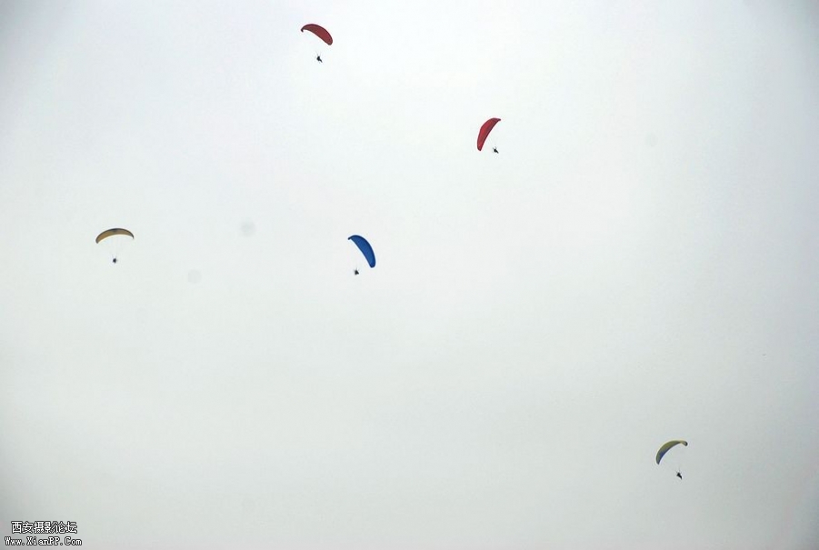 DSC_0696.JPG