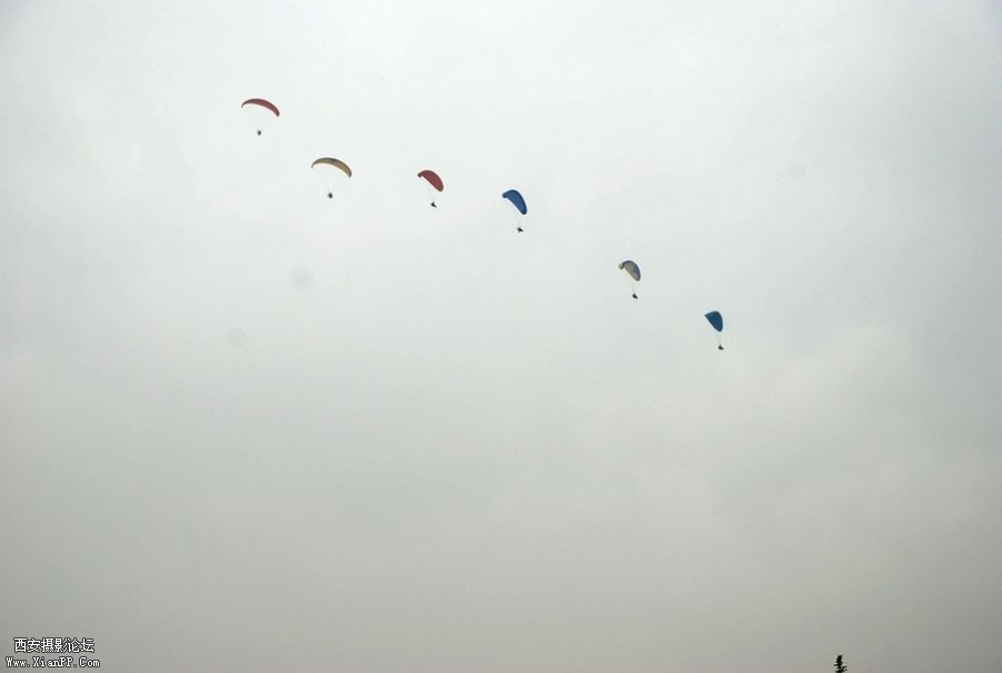 DSC_0699.JPG