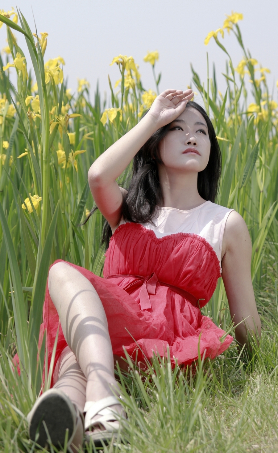 色 红绿.jpg
