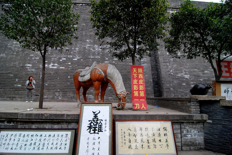 魏连升  摄像 摄影（QQ：1273014921）01 (16).jpg