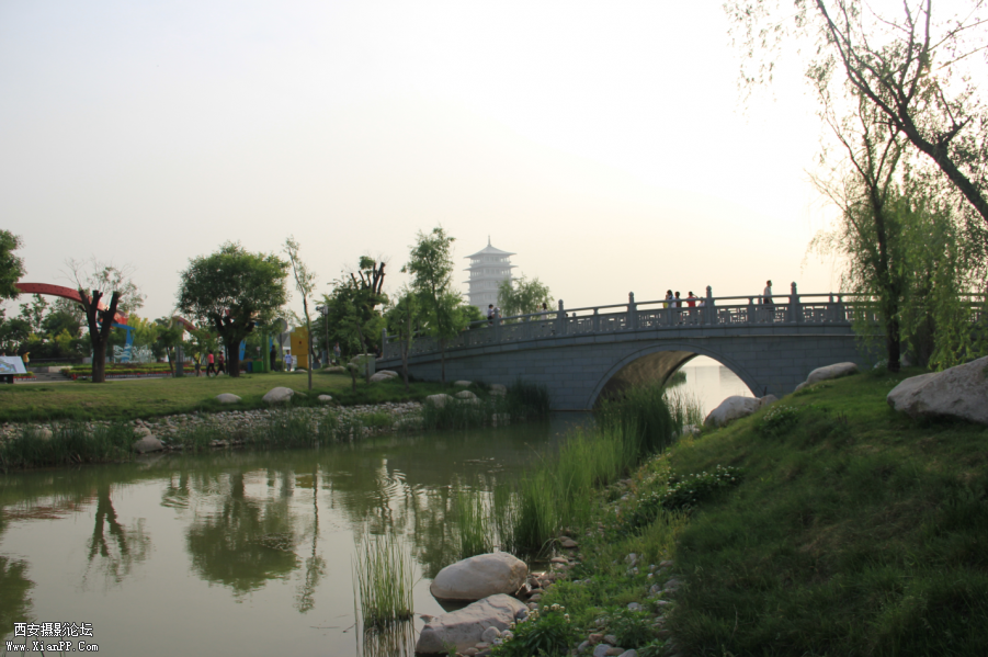 QQ截图20120430202741.png