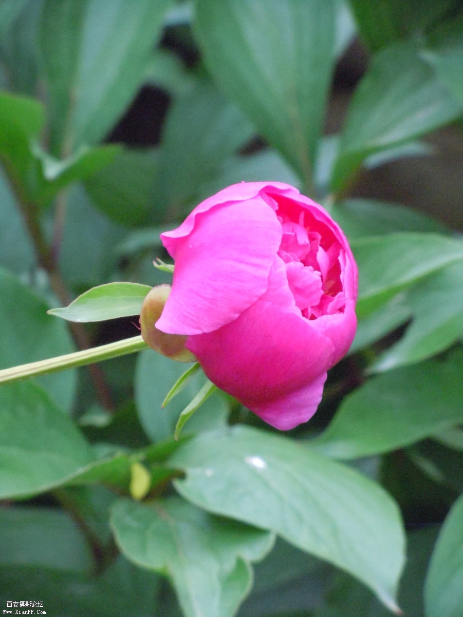 照片 009.jpg