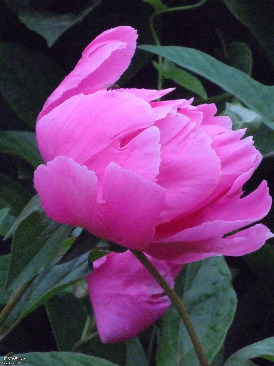 照片 096.jpg