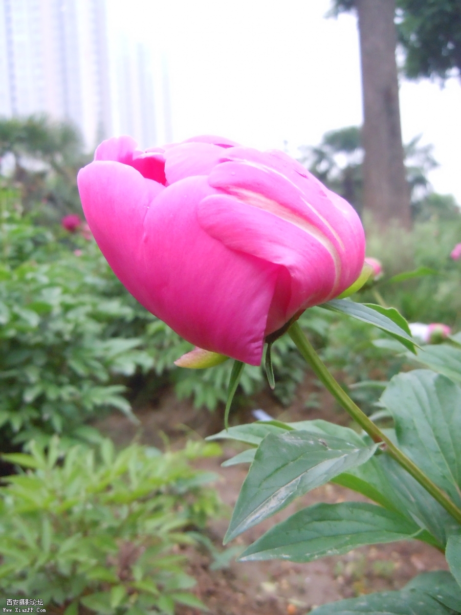 照片 275.jpg