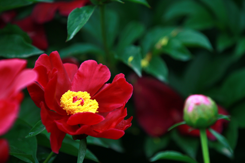 李志鸿摄影作品 042.jpg