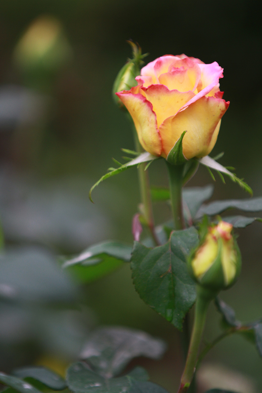 李志鸿摄影作品 107.jpg