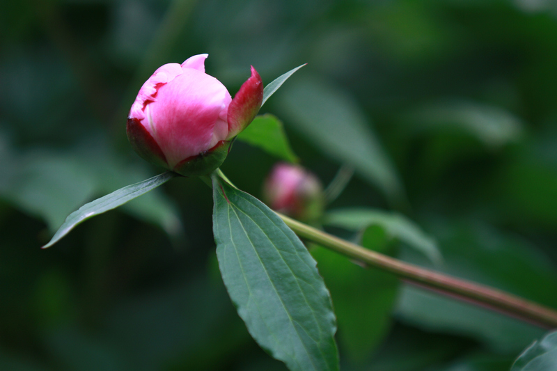 李志鸿摄影作品 125.jpg