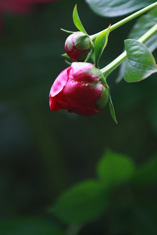 李志鸿摄影作品 129.jpg